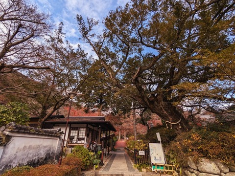 08.受付