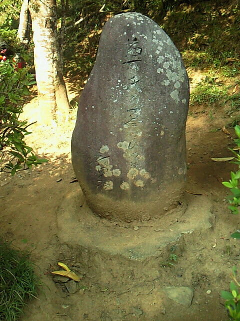 SBCA0046