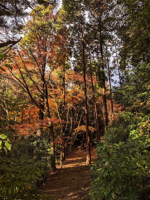 20.左に伸びる道2