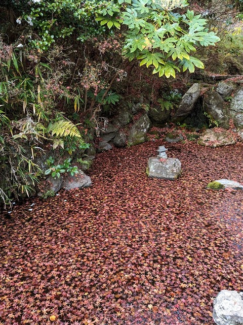 13.池