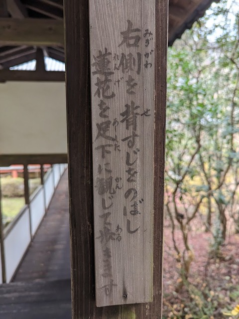 24.回廊の札5