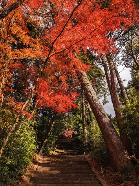 15.本堂への石段2