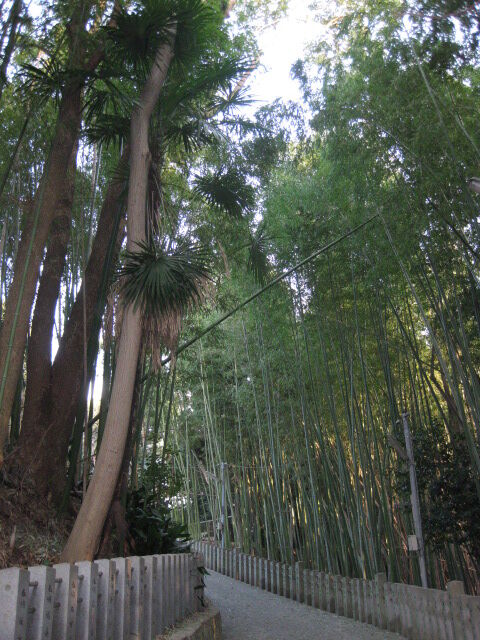 羽曳野・八尾1.17-18 072