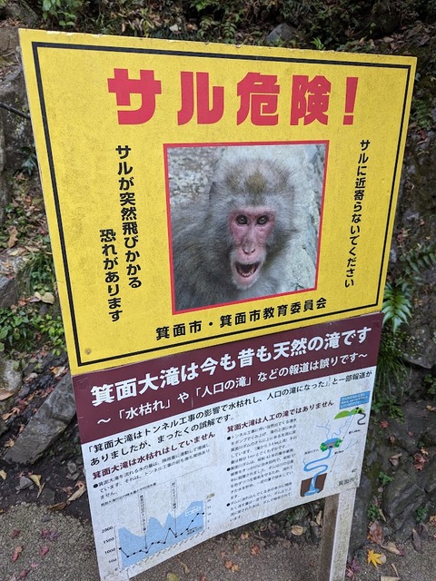 14.猿危険