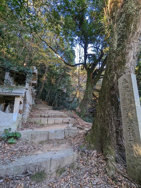 奥の院参道