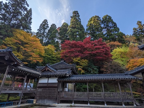 美しい境内