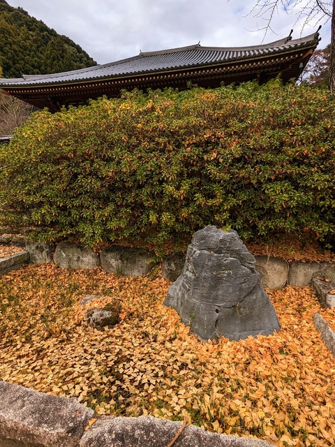 28.芳泉庭5