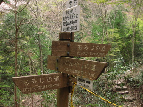 画像 030