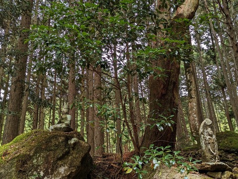 38.山のエリア7