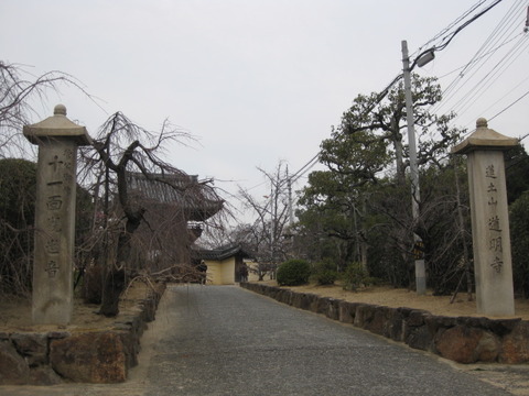 生駒暗峠と藤井寺道明寺 130