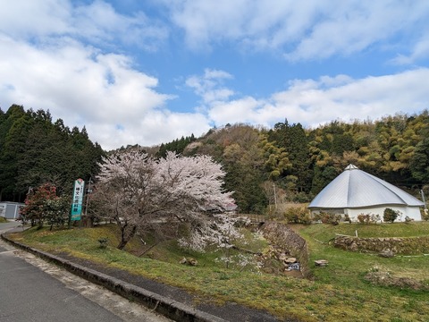 ツバキ記念資料館