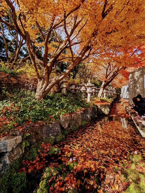 07.参道2
