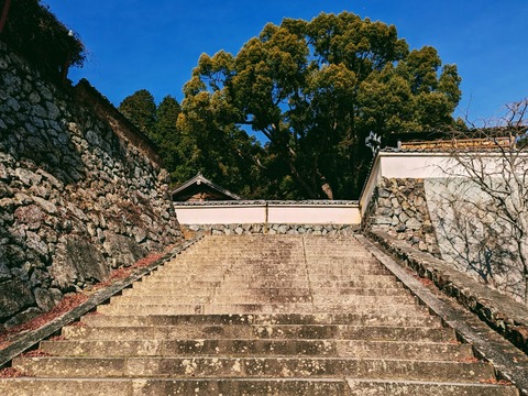 24.石段と緑