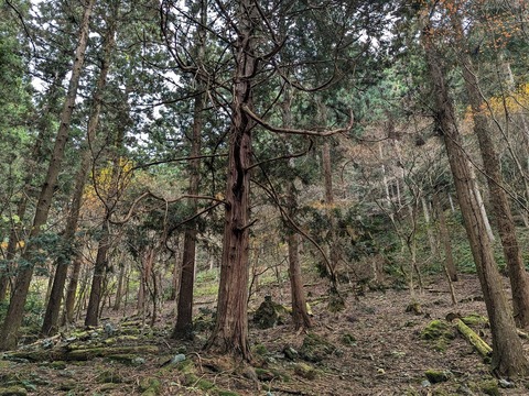 38.山のエリア6