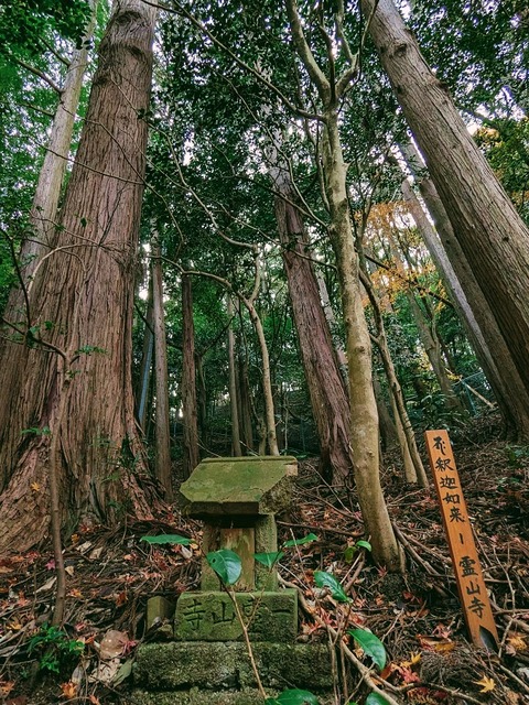 15.弥勒山めぐり3