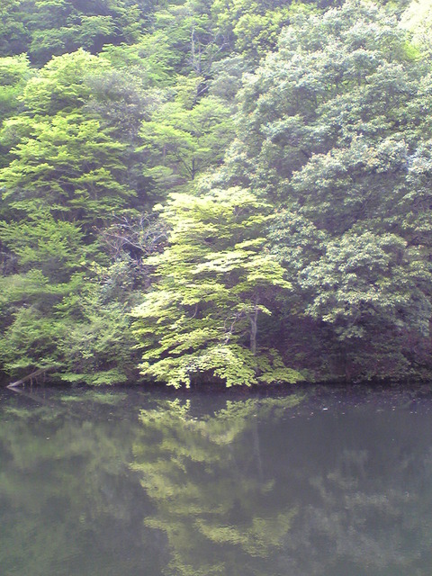 Image015