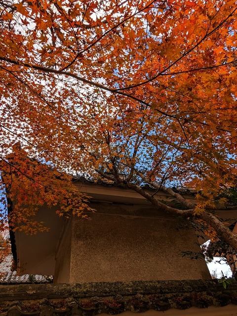 13.右手の建物と黄色4