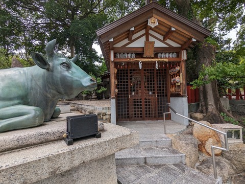 10.牛と白龍大神