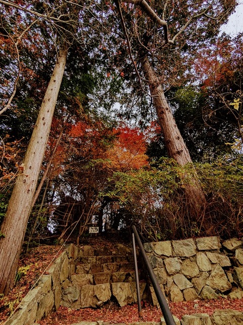 38.三光社2