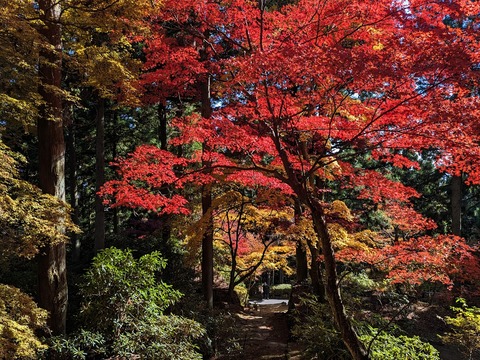13.南北の通り3