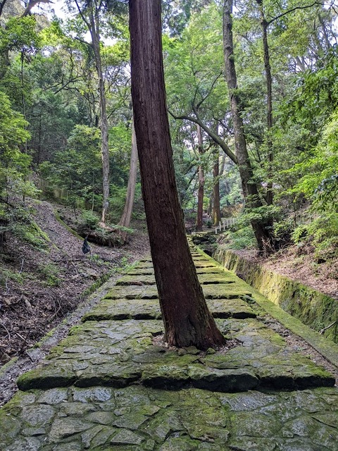奥の院③