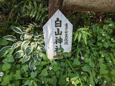 白山神社