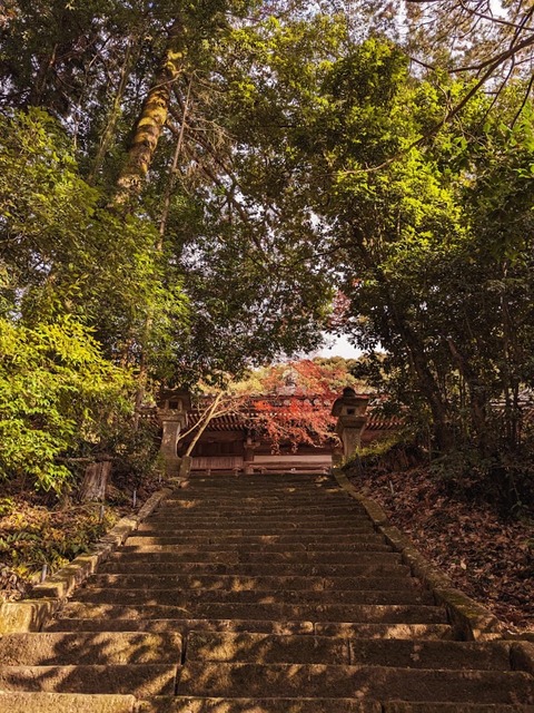 15.本堂への石段3