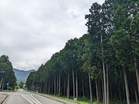 荒田神社1