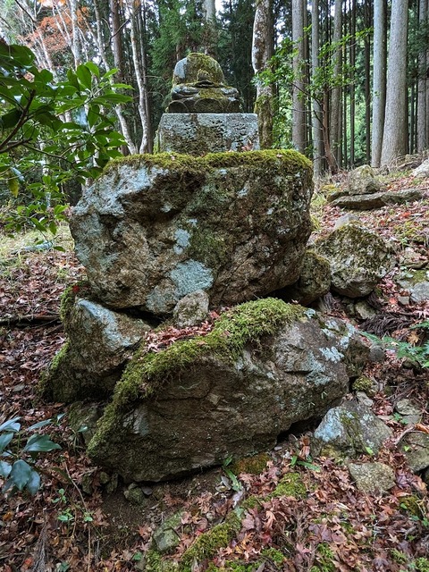 38.山のエリア3