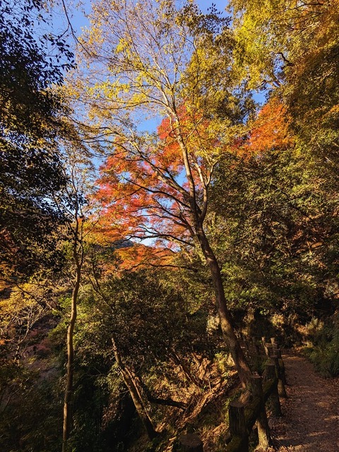04.中千本3
