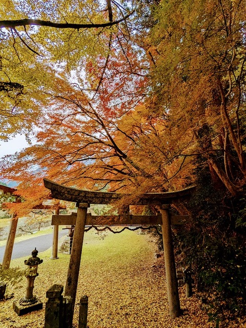 17.下山3