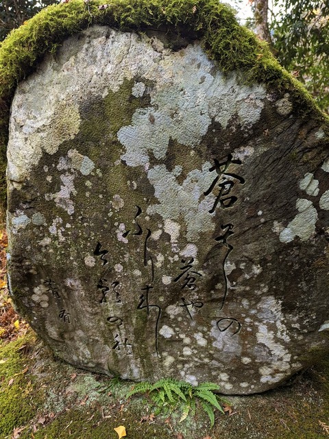 18.田村菁斎句碑