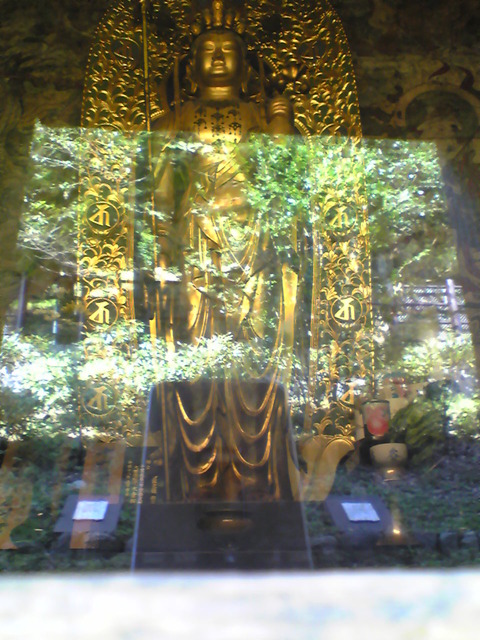 Image053