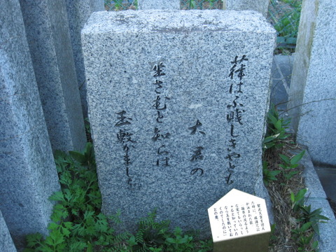 旅 110