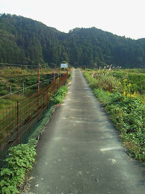 SBCA0051