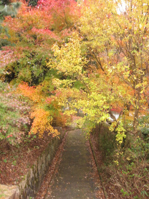 画像 039