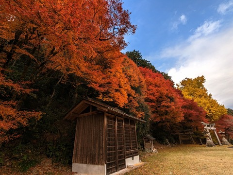 07.神輿蔵3