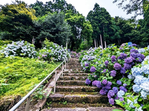 石段