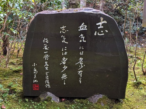 24.小島直記