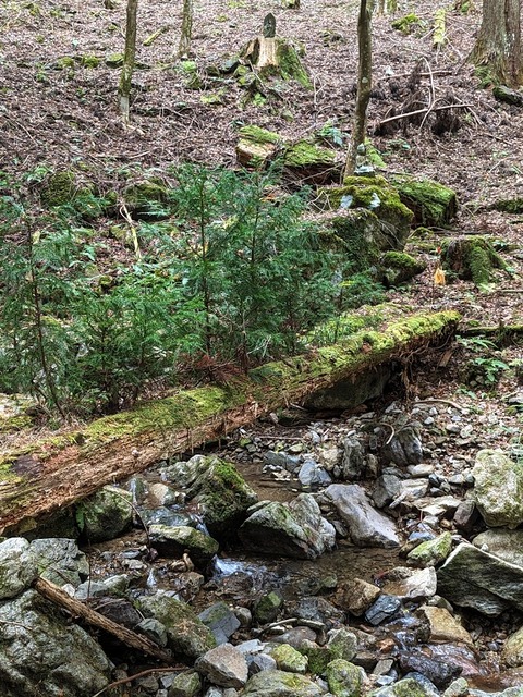 38.山のエリア14