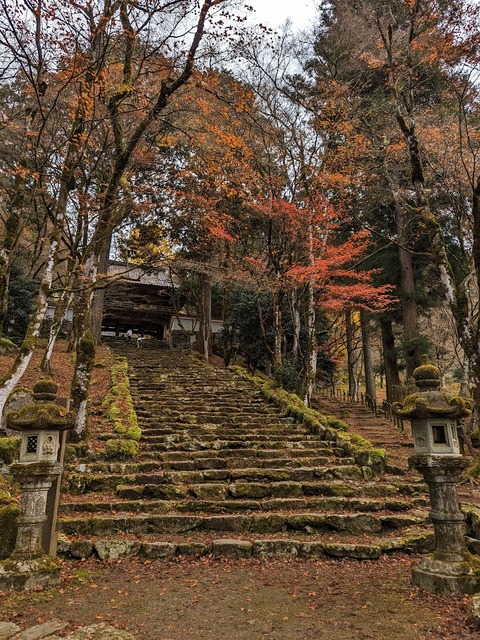 07.参道4