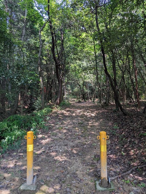 岩佐岐稲荷大明神②