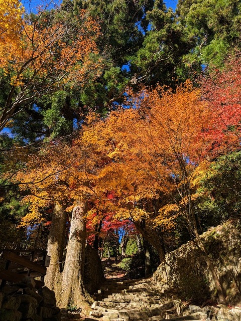 01.参道2