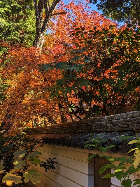 09.本坊6