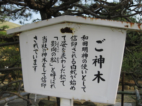 画像 013