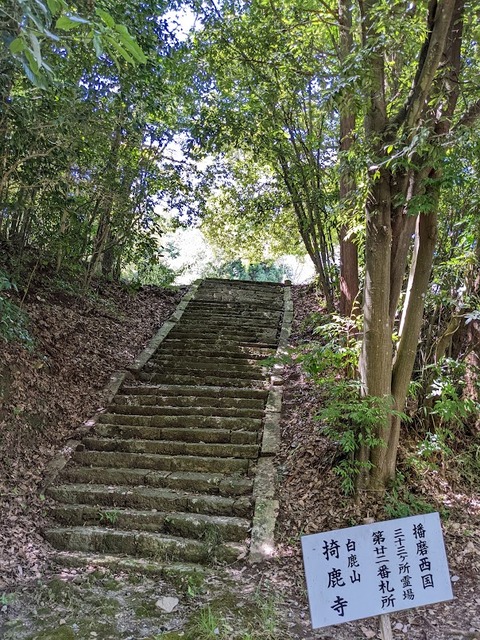 掎鹿寺