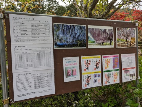 掲示板