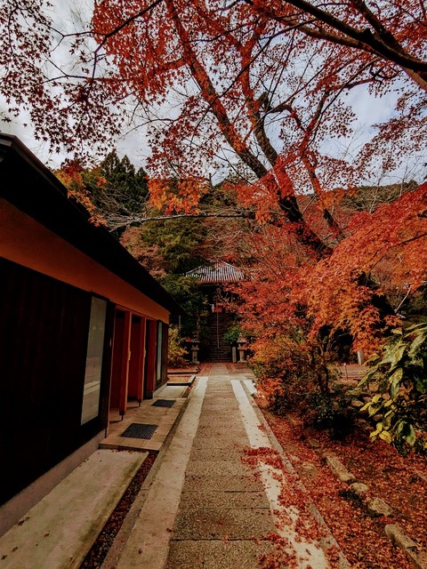 11.境内2