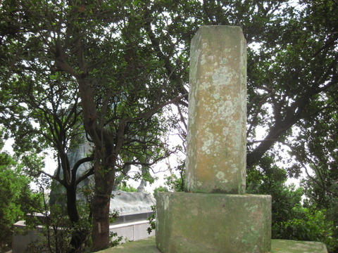 画像 008