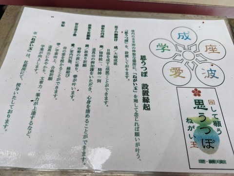思うつぼ